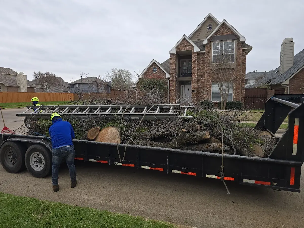 Expert Tree Fertilization with proper safety equipment in Wallace